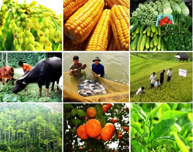Vật tư nông nghiệp