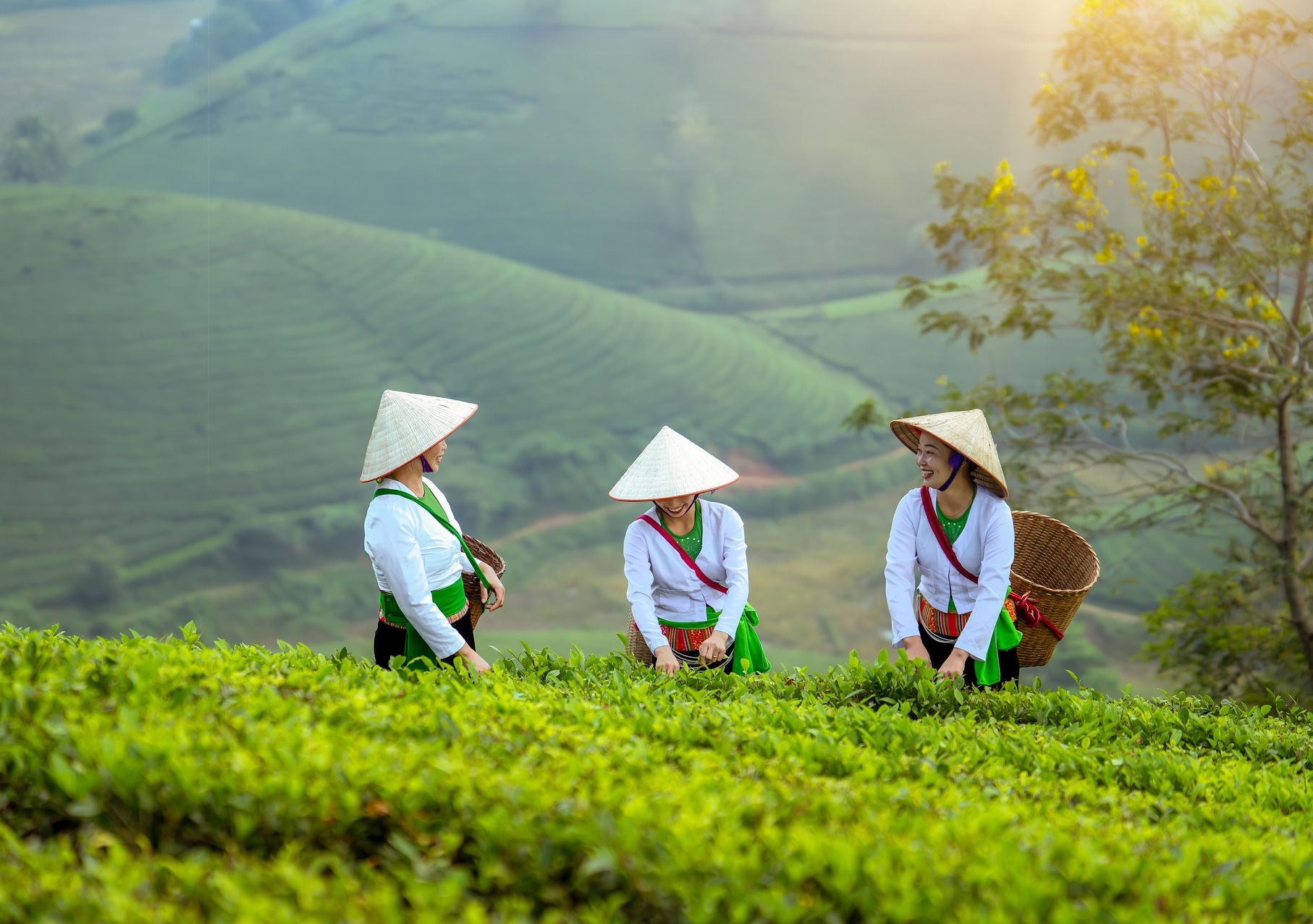Về chúng tôi