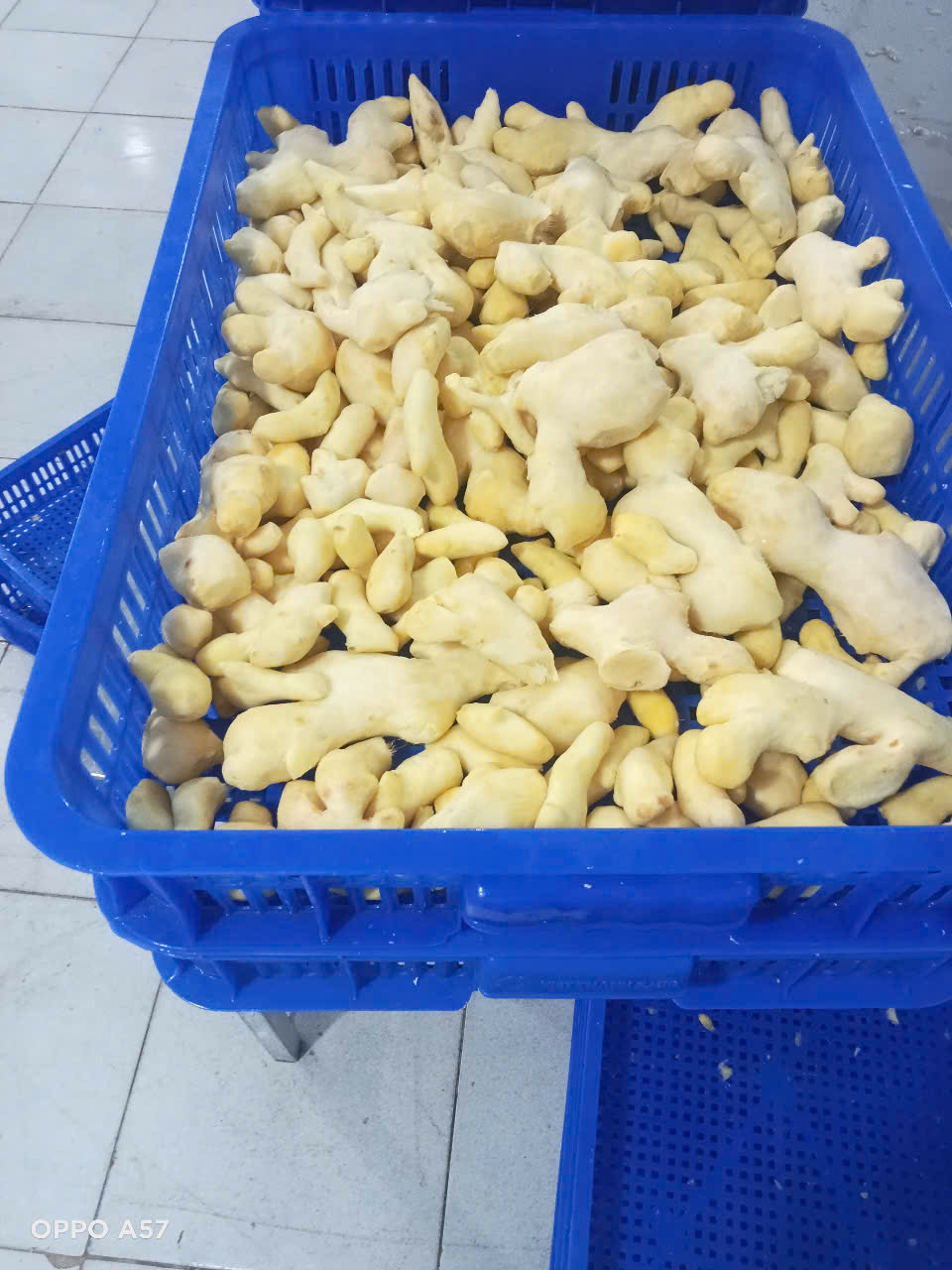 Gừng tươi gọt vỏ