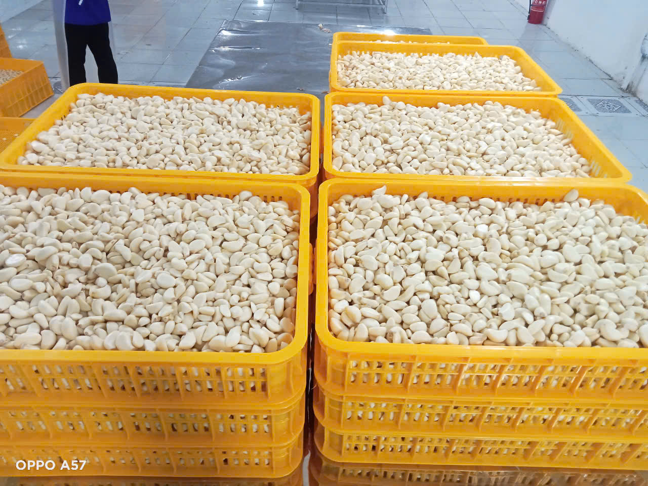 Gừng tươi gọt vỏ
