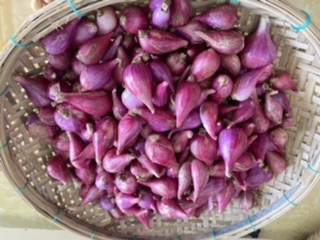 Hành Tím Phú Sinh