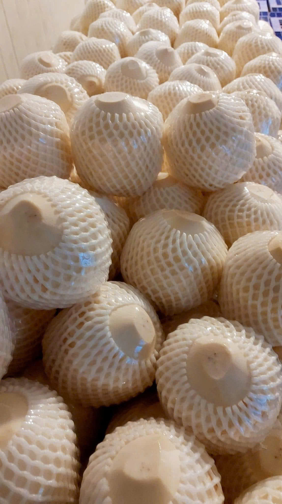 Dừa tươi